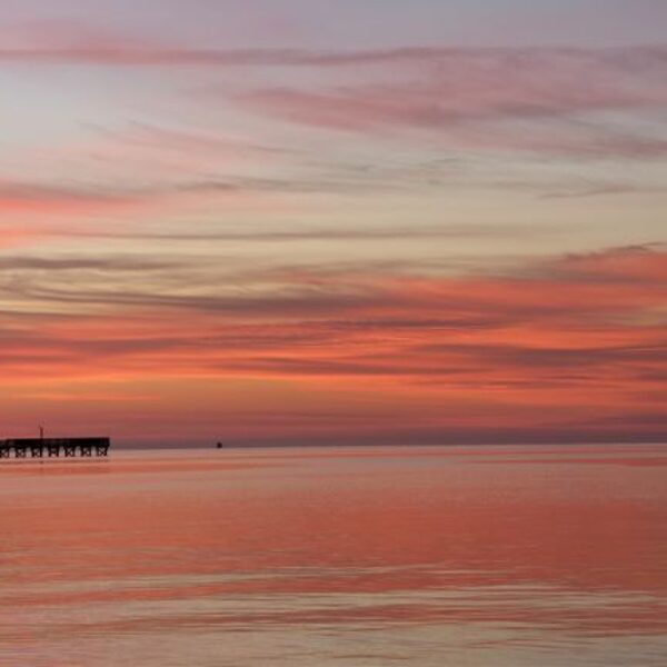 sunrise at goose island state park texas
