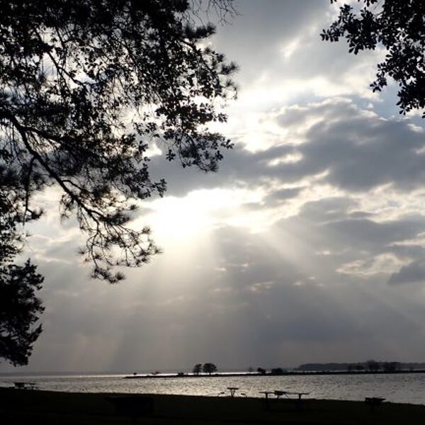 sunbeams at lake livingston state park texas