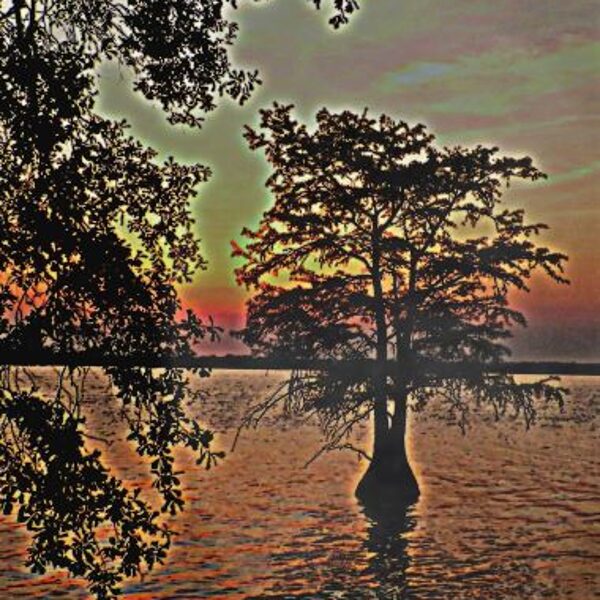 sunset cypress at martin dies state park texas