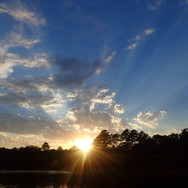 Tyler state park sunset