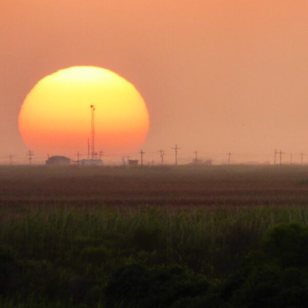 sunset from sea rim state park texas