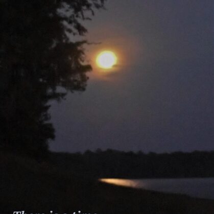 moon at martin dies state park texas