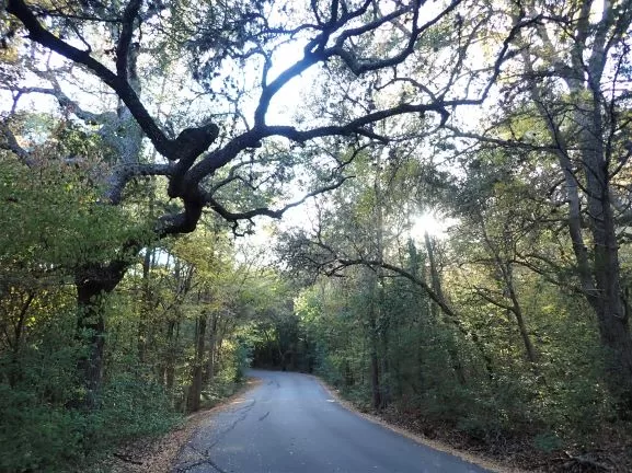 winding road