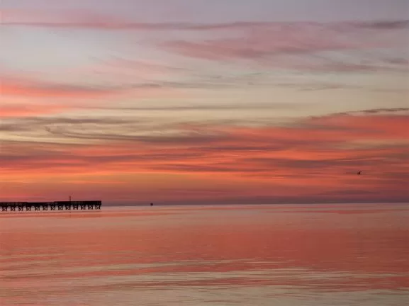 sunrise at goose island state park texas