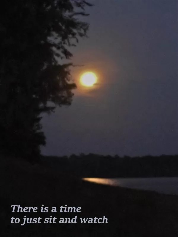 moon at martin dies state park texas